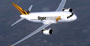 Tiger Airways flies back to Tasmania